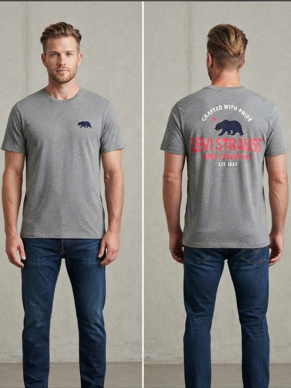 Levi’s Men's California Bear Graphic T-Shirt Gray XL